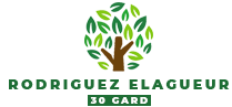 elagage-RODRIGUEZ-Elagueur